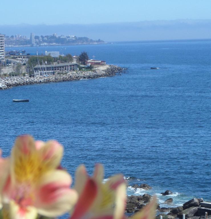 Domus Mare Hotel Vina del Mar Room photo